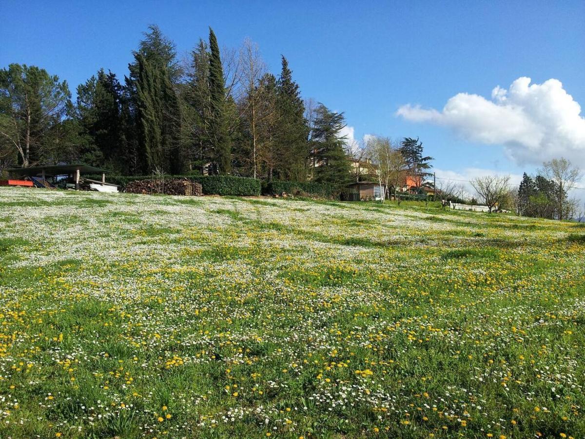 Tuscan Hills Near Florence - Stone House Викио Екстериор снимка