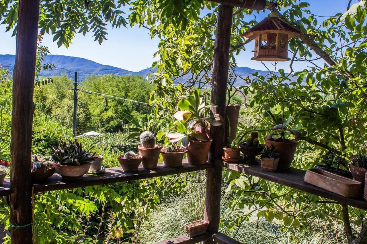 Tuscan Hills Near Florence - Stone House Викио Екстериор снимка